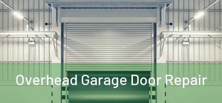  Overhead Garage Door Repair 